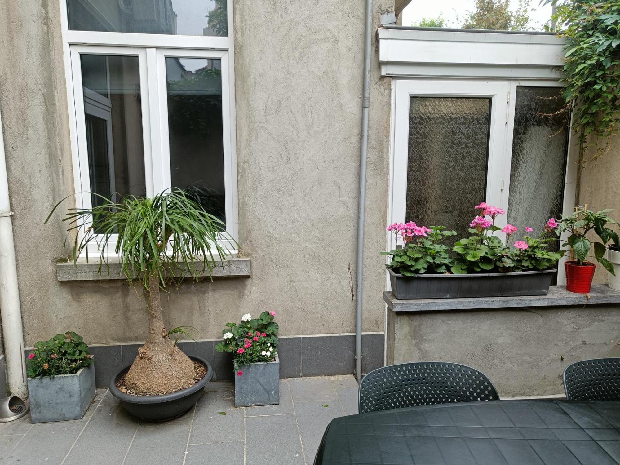 The Brussels-Laken Appartement Buitenkant foto